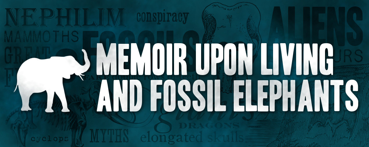 Fossil Elephants
